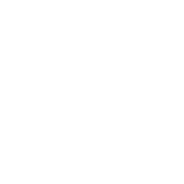 Moustache logo