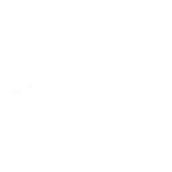 Klever